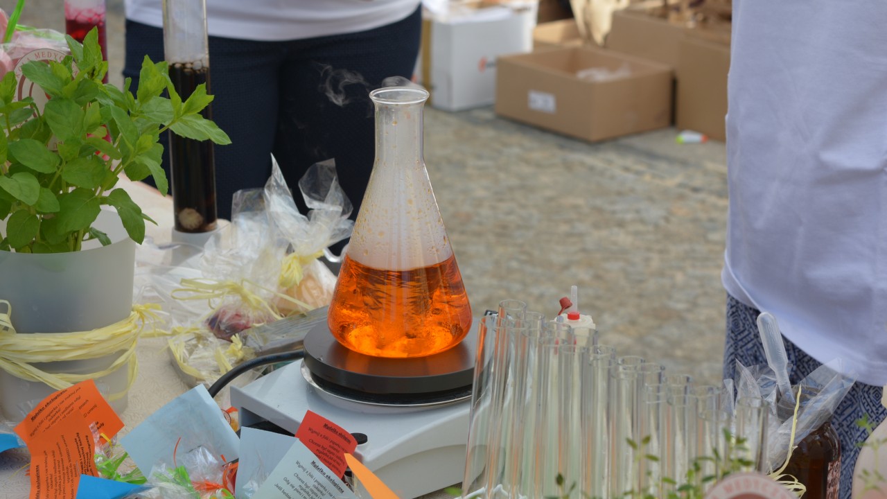 Dzień Akademicki na Rynku Kościuszki