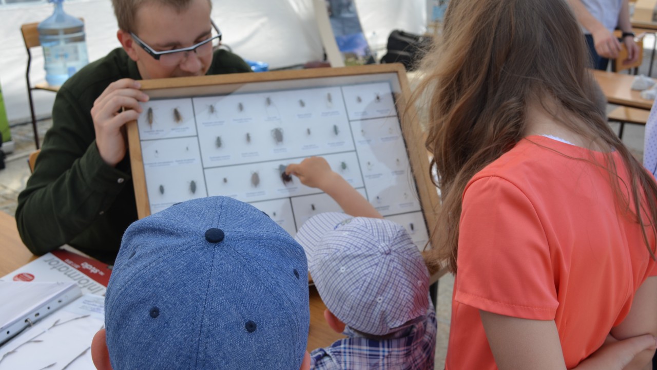 Dzień Akademicki na Rynku Kościuszki