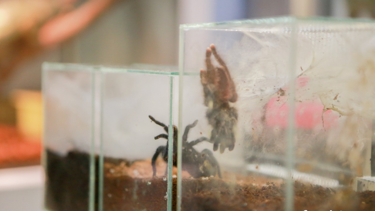 FOTO. Co w piwie piszczy? Czyli oko w oko z nauką