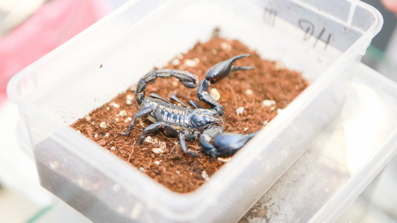 FOTO. Co w piwie piszczy? Czyli oko w oko z nauką