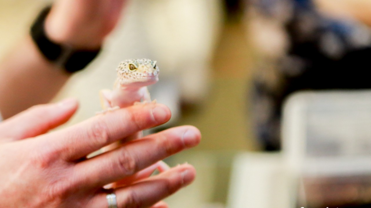 FOTO. Co w piwie piszczy? Czyli oko w oko z nauką