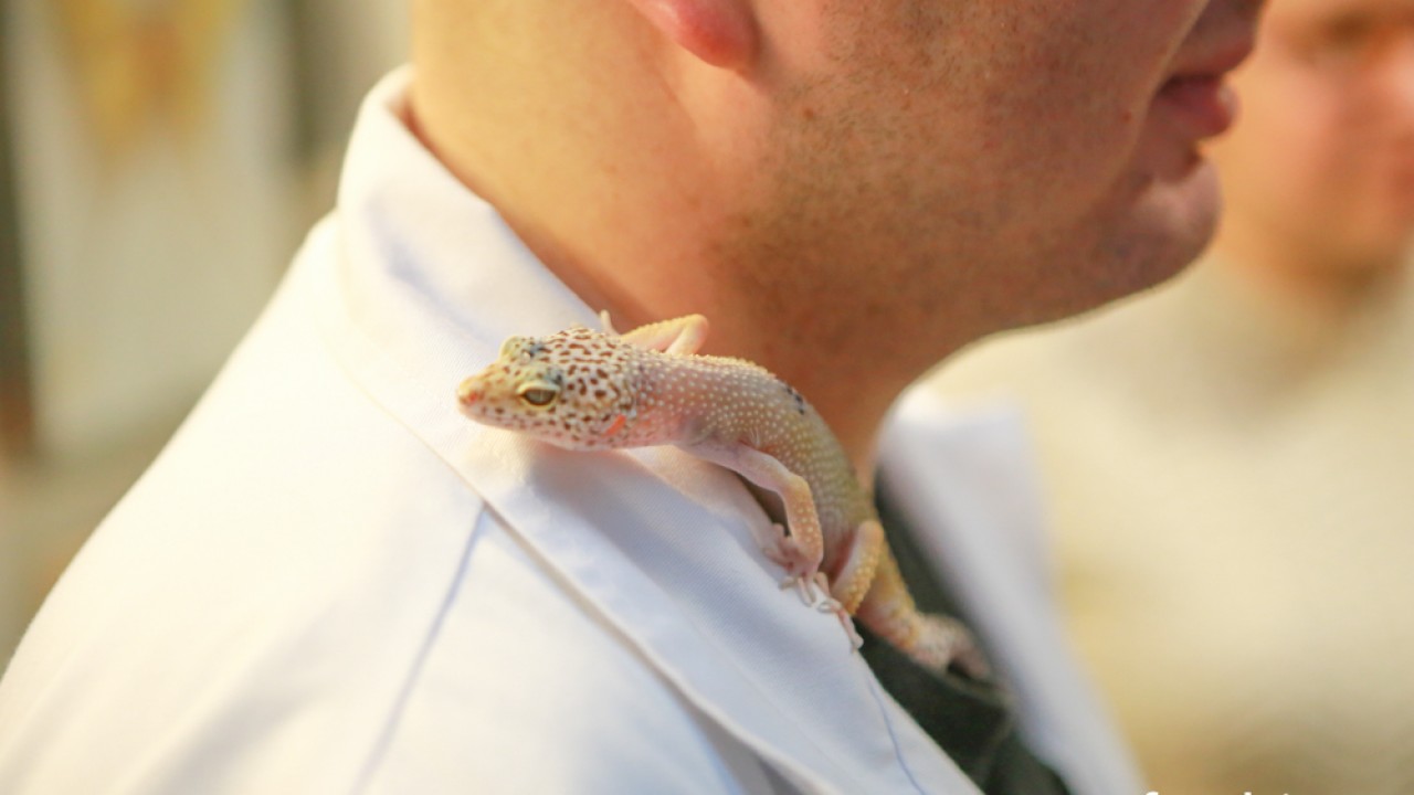 FOTO. Co w piwie piszczy? Czyli oko w oko z nauką