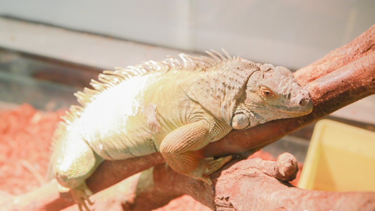 FOTO. Co w piwie piszczy? Czyli oko w oko z nauką