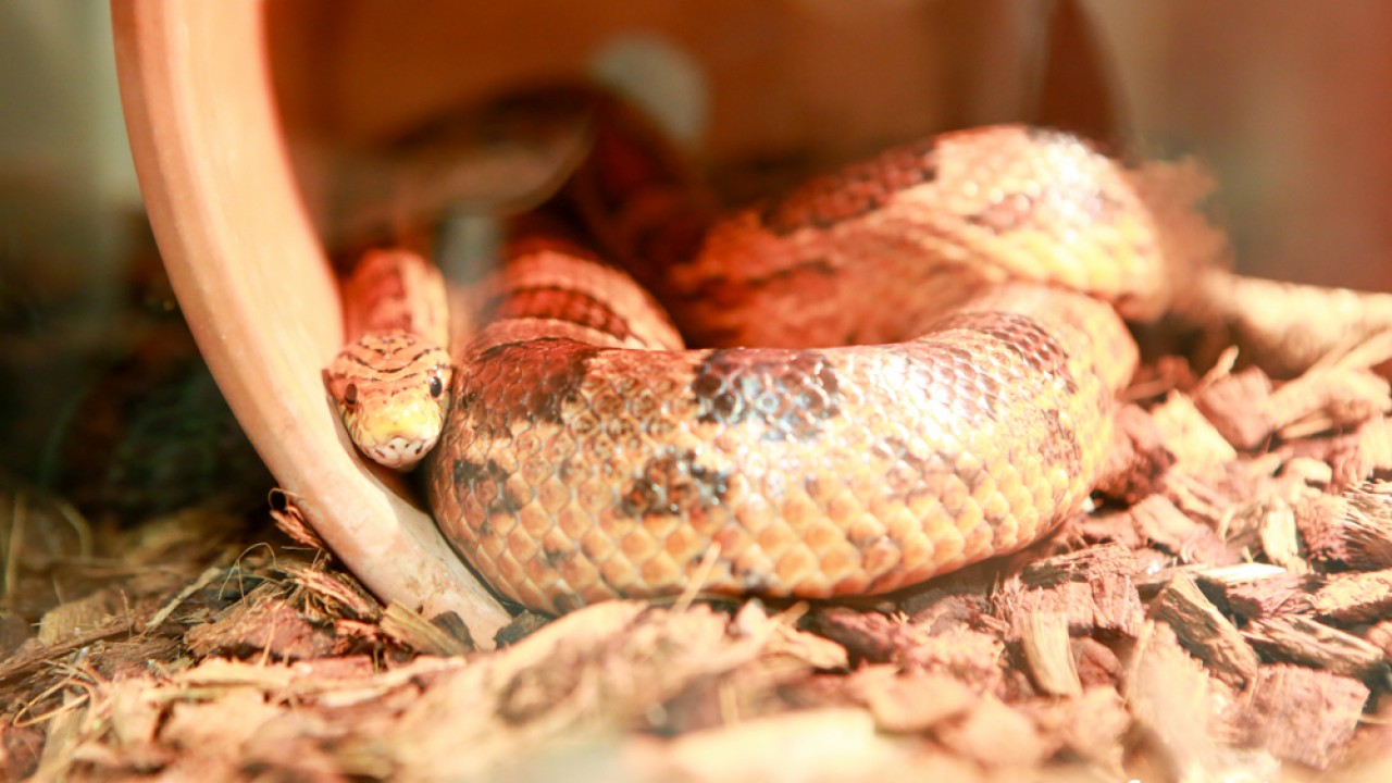 FOTO. Co w piwie piszczy? Czyli oko w oko z nauką