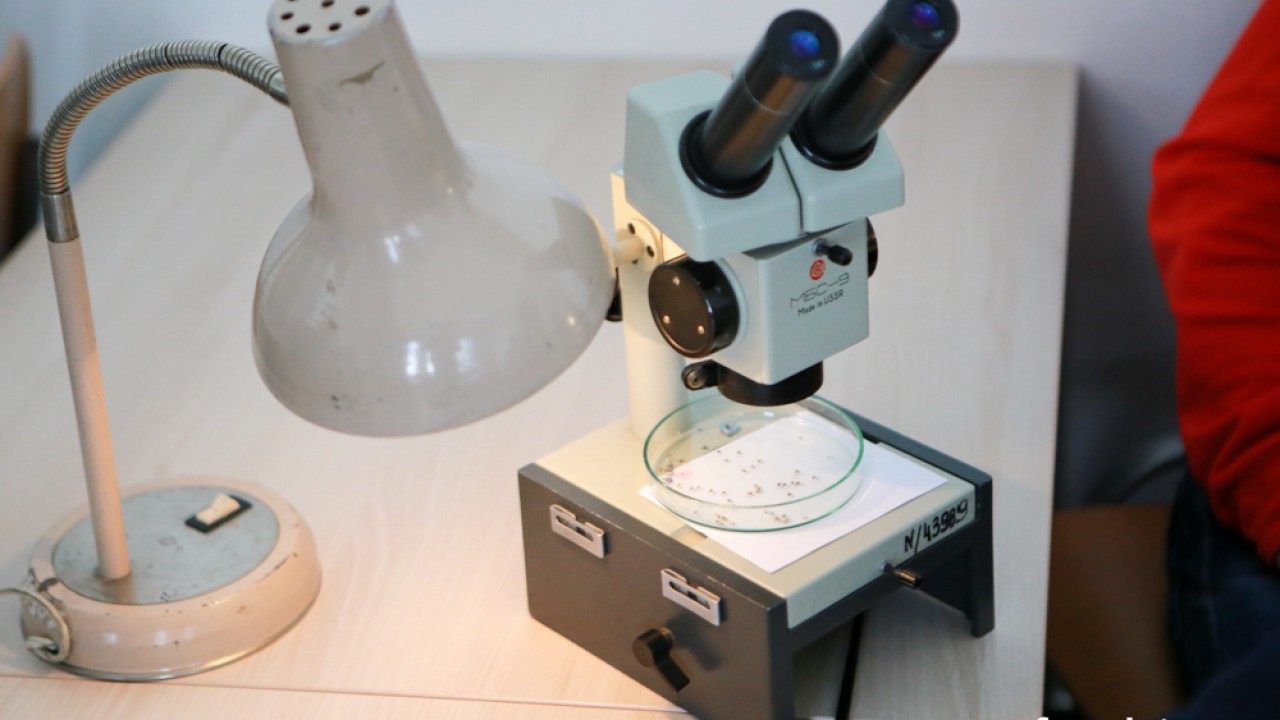 FOTO. Co w piwie piszczy? Czyli oko w oko z nauką