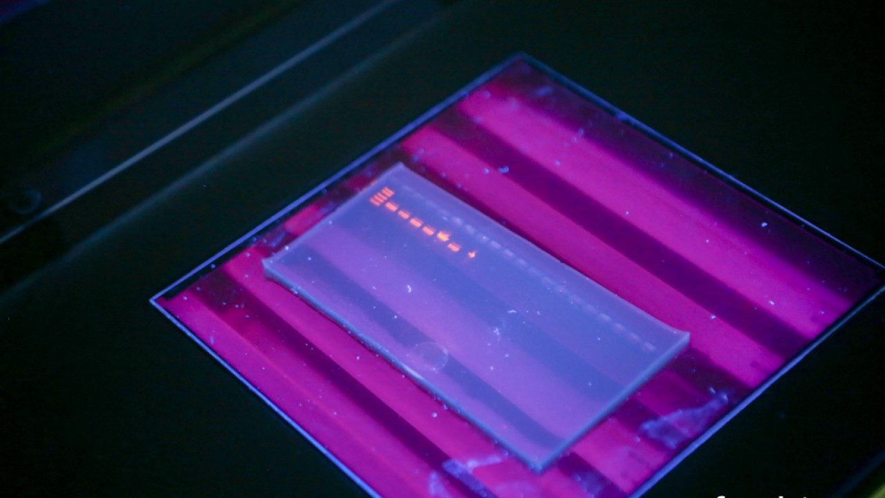 FOTO. Co w piwie piszczy? Czyli oko w oko z nauką