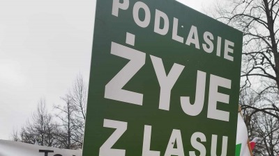 Protest przedstawicieli branży drzewnej w&nbsp;Białymstoku