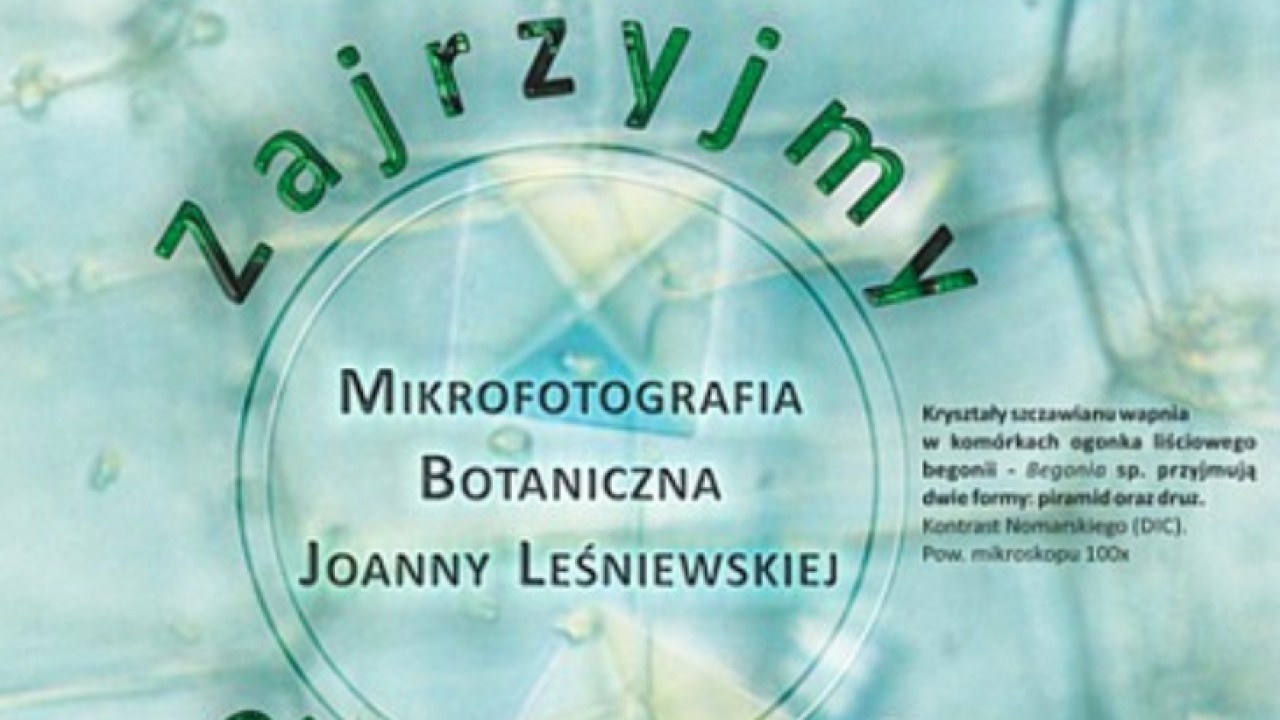 Autorska wystawa prac dr Joanny Leśniewskiej z Instytutu Biologii Uniwersytetu w Białymstoku